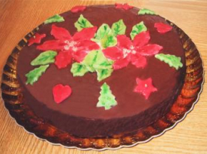 Stelle di Natale