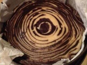 Torta variegata