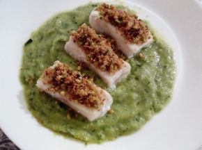 Fiori di nasello su letto di crema di zucchine gratinati con pangrattato e granella di pistacchio