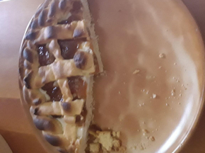 Crostata mascarpone e albicocca