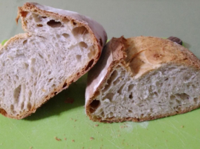 Pane misto