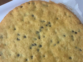 TortaGelatoCookie