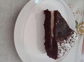 Torta cioccolato e cocco