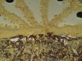 Cheescake metà e metà