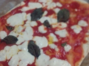 Ricette veloci e facili