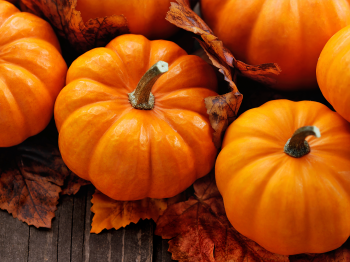 Zucca, la vera protagonista di Halloween