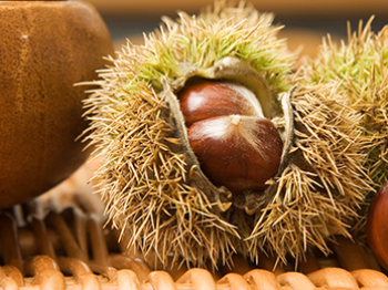 Tutto il sapore dell'autunno nella farina di castagne