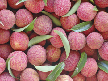 Litchi, un boccone pieno di sapore