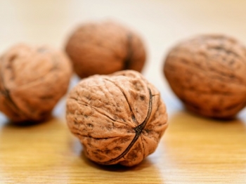 Una noce al giorno… 4 dolci con le noci