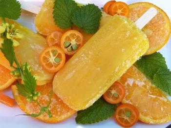 Ghiaccioli alla frutta per bambini: l'alternativa alla frutta e al gelato