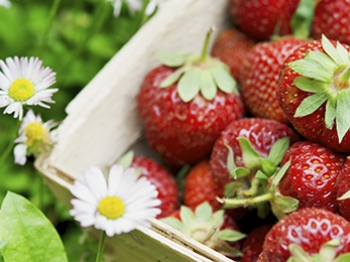 Primavera, fragole e bontà
