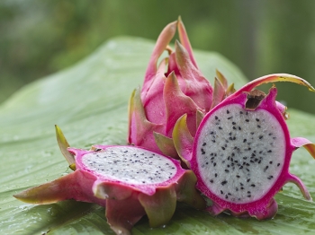 Hai mai assaggiato il dragon fruit?