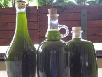 Liquore al basilico