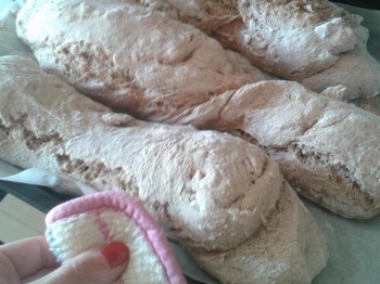 Pane integrale veloce