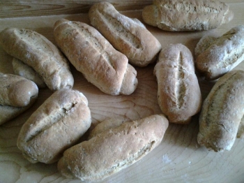 PANINI AL FARRO E GRANO SARACENO E SEMI DI LINO