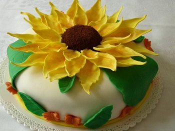 Torta al cacao e crema al cocco con girasole in pasta di zucchero...