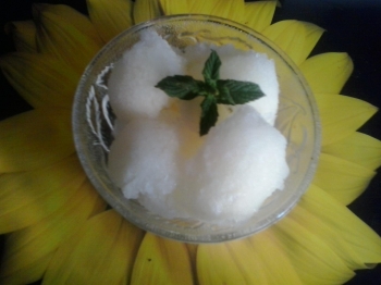 Sorbetto limone e menta
