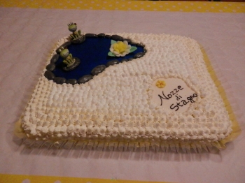 Torta Nozze di Stagno