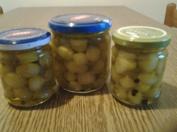 CIPOLLINE SOTT'OLIO