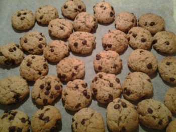BISCOTTI CON SEMI DI CHIA E GOCCE DI CIOCCOLATO