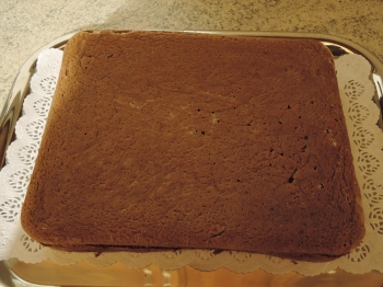 Pan di spagna al cacao