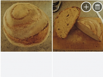 pane con esubero di pasta madre
