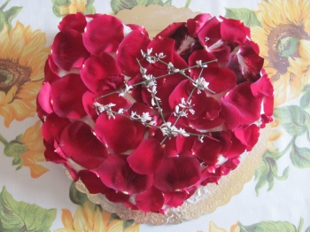 red rose