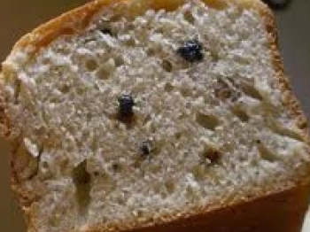 Plumcake con gocce di cioccolato e noci
