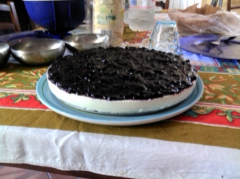 cheeseCake ai mirtilli