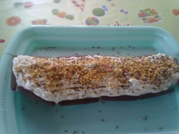 IL MIO TRONCHETTO PER NATALE