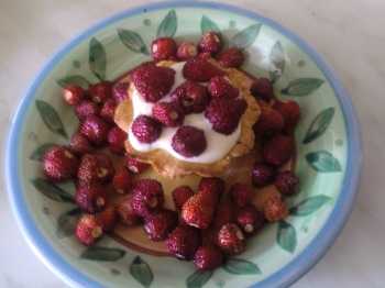 Carezze al mascarpone e fragoline di bosco
