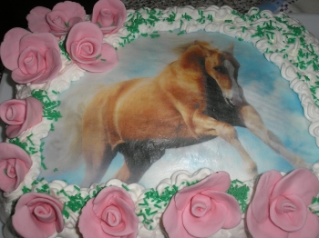 Torta di compleanno Federica