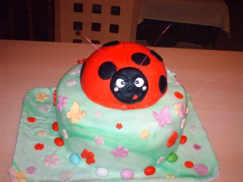 dolce coccinella