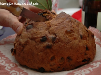 Pandolce alla Genovese (Tipo basso)
