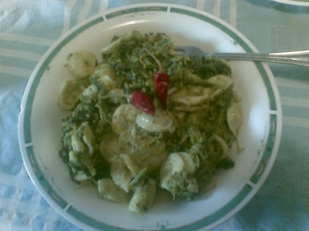 Orecchiette cime di rapa e pangrattato