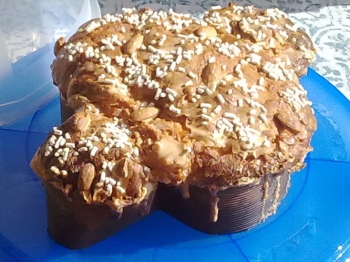 COLOMBA SOFFICISSIMA (10 gr. di lievito)