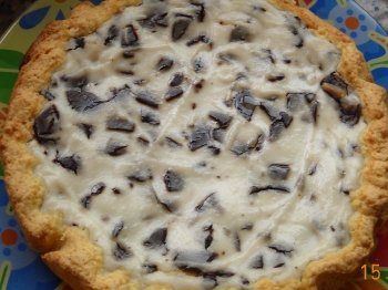 CROSTATA DI RICOTTA E CIOCCOLATO A MODO MIO