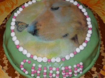 TORTA MILKA