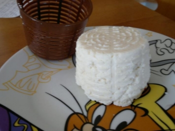 Ricotta fatta in casa