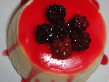 semifreddo alla vaniglia con salsa ai lamponi