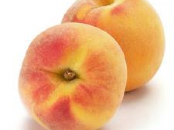 covaccino golosino