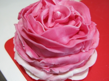 Rosa o muffin?