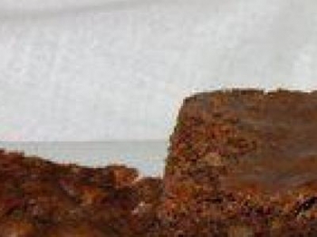 I Brownies