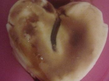 cuori di creme caramel