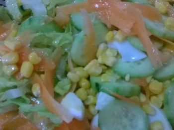 insalatona fresca