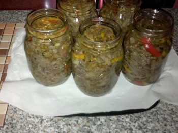 melanzane sott olio