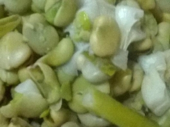 fave fresche alla campidanese