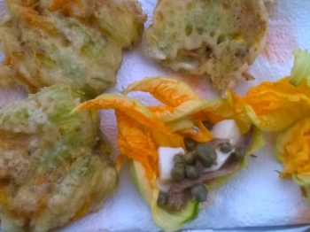 fiori di zucchine farcite