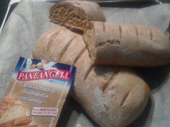 Pane