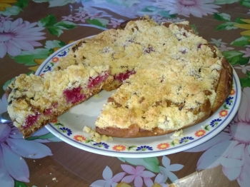 torta ai lamponi con crumble